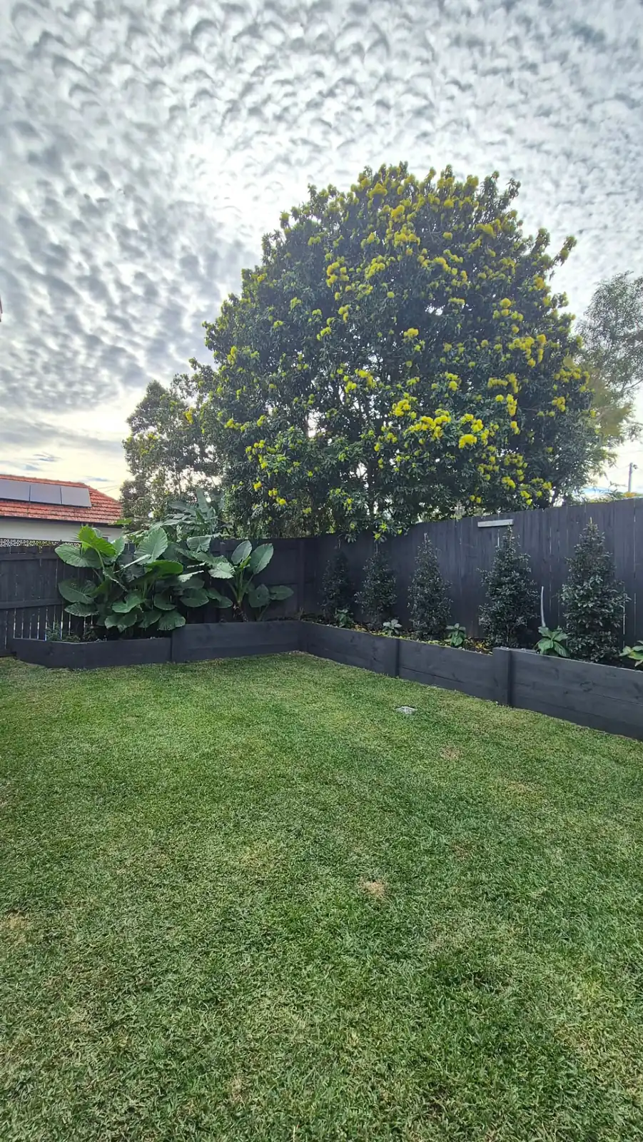 Freshly mowed backyard lawn with tidy garden beds in Brisbane